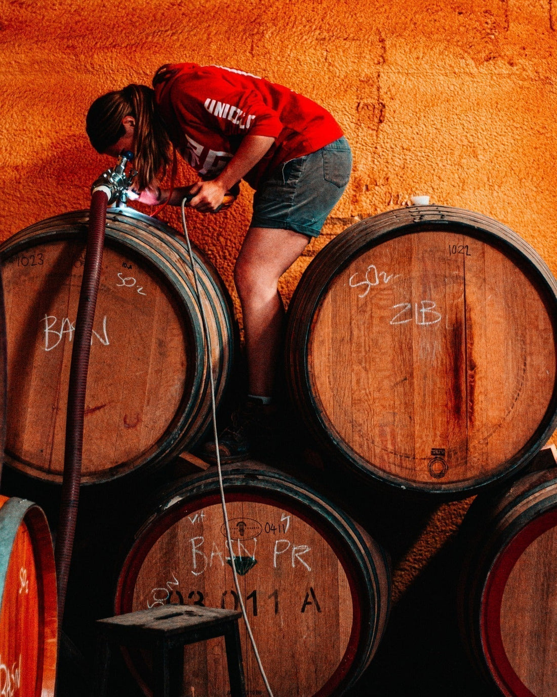 Unico Zelo: Wine, Vermouth; a Mission that Actually Matters